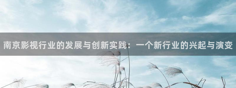 八戒神马电影：南京影视行业的发展与创新实践：一个新行业的兴起与演变