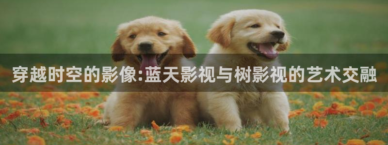 一路向西八戒影院：穿越时空的影像:蓝天影视与树影视的艺术交融