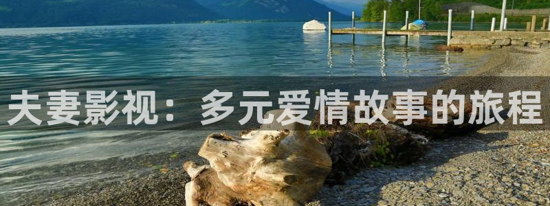 神马影视我不卡八戒：夫妻影视：多元爱情故事的旅程